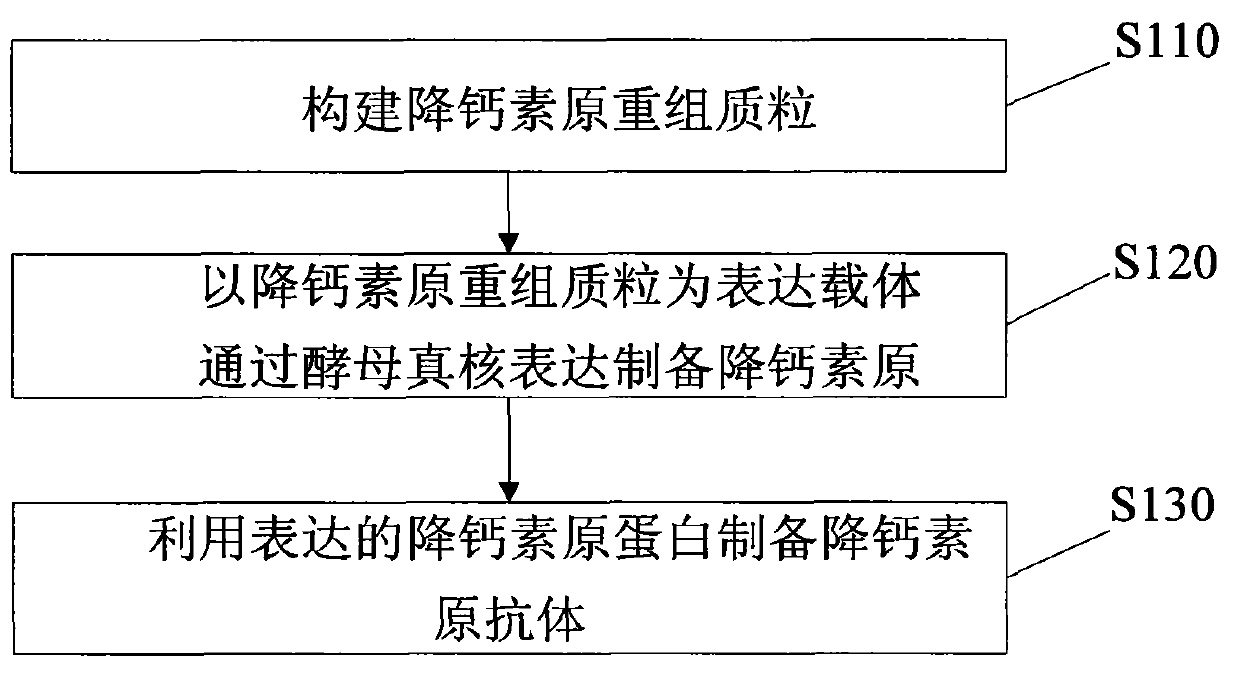 Method for preparing procalcitonin antibody