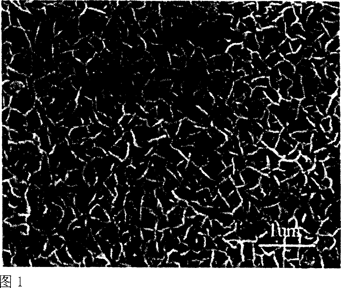 Mineralized polypeptide material in use for repairing bones, and preparation method