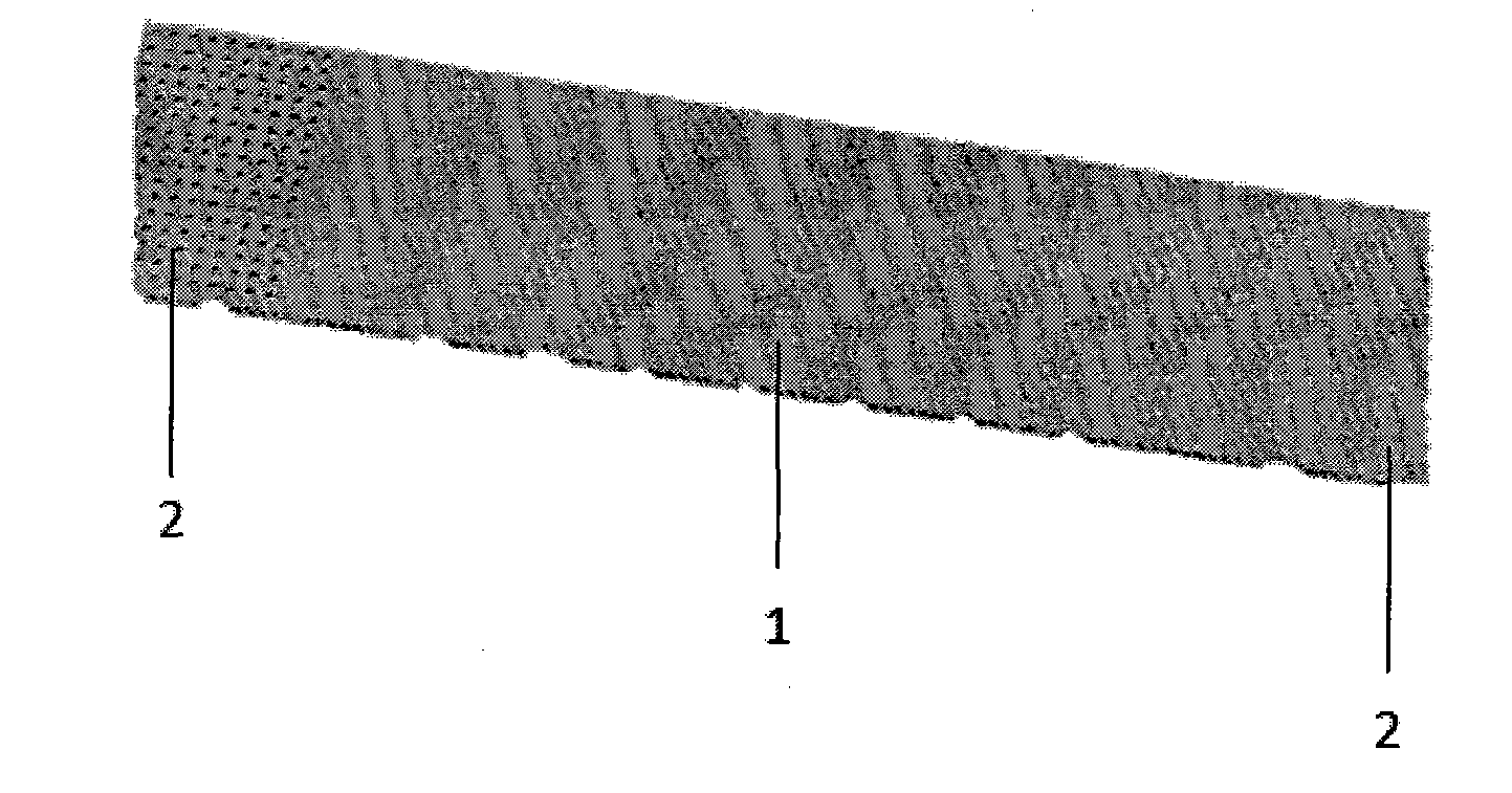 Guinea pig partial drug applying (exposure) fixing band