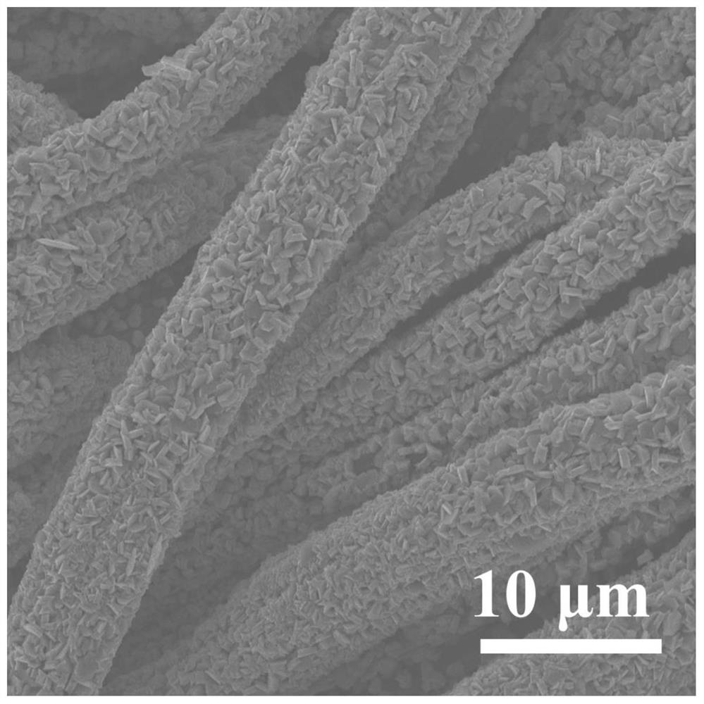 A method for constructing a flexible metal negative electrode using a positive electrode material as an interface layer