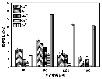 Method for treating waste fermented liquid of molasses by utilizing microalgae