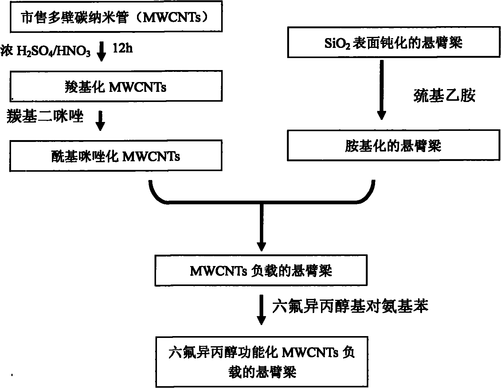 Method of micro cantilever beam sensor using functional carbon nano tubes as sensitive materials