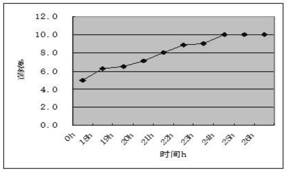 Detection method for logarithmic growth phase of actinomycete strain producing apramycin