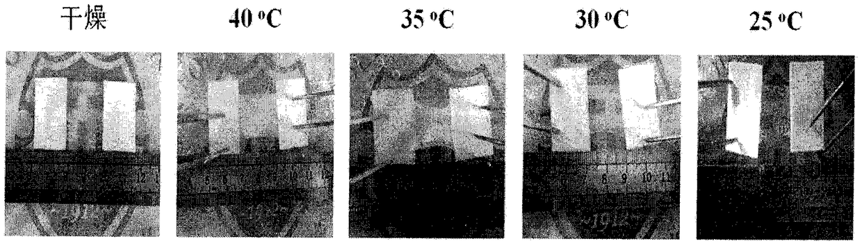 Multi-responsive controllable filtration electrospun nanofiber membrane and preparation method thereof