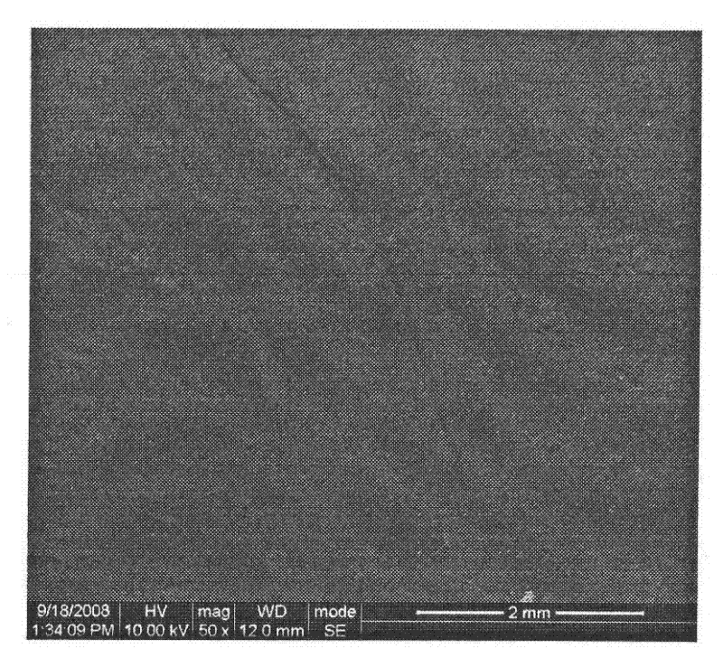 Biodegradable nontoxic amphipathic multi-block polyurethane material and preparation thereof