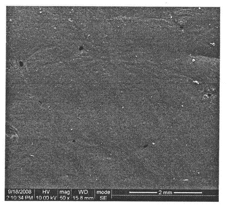 Biodegradable nontoxic amphipathic multi-block polyurethane material and preparation thereof