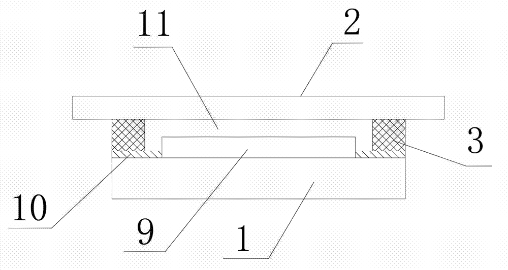 Organic light emitting diode and packaging effect detection method