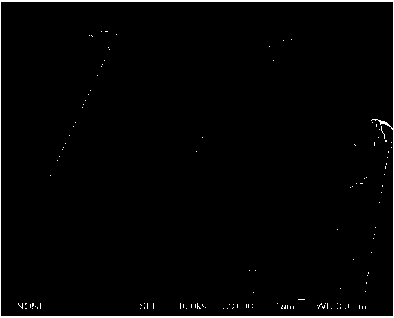 Rod-like niobium pentoxide template grain and preparation method thereof