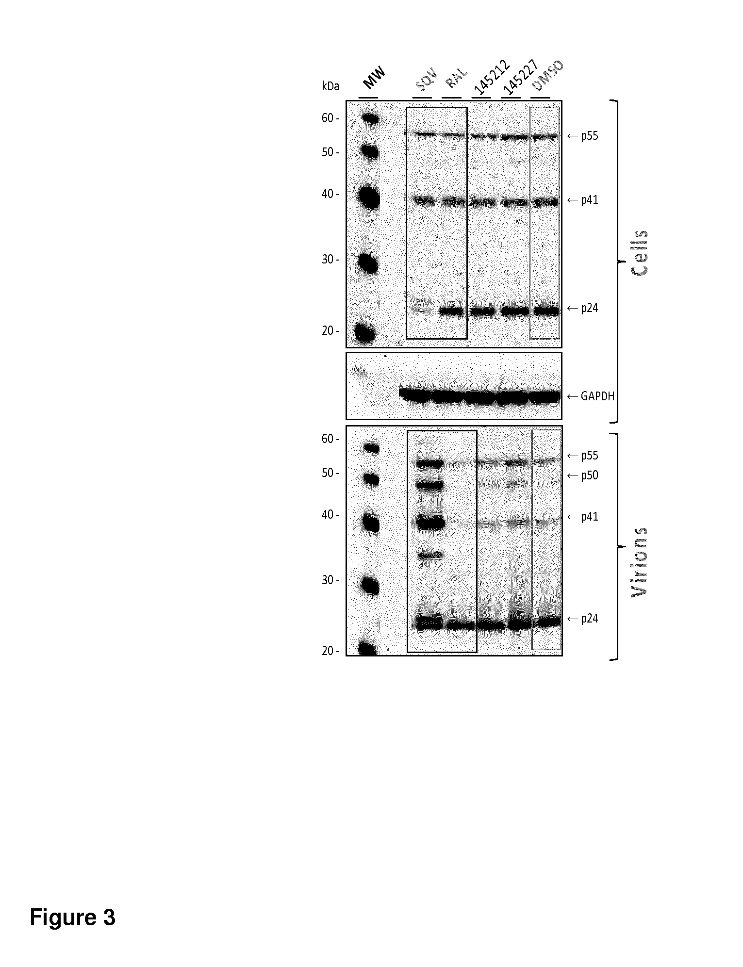 Method of producing an inactivated lentivirus, especially HIV, vaccine, kit and method of use