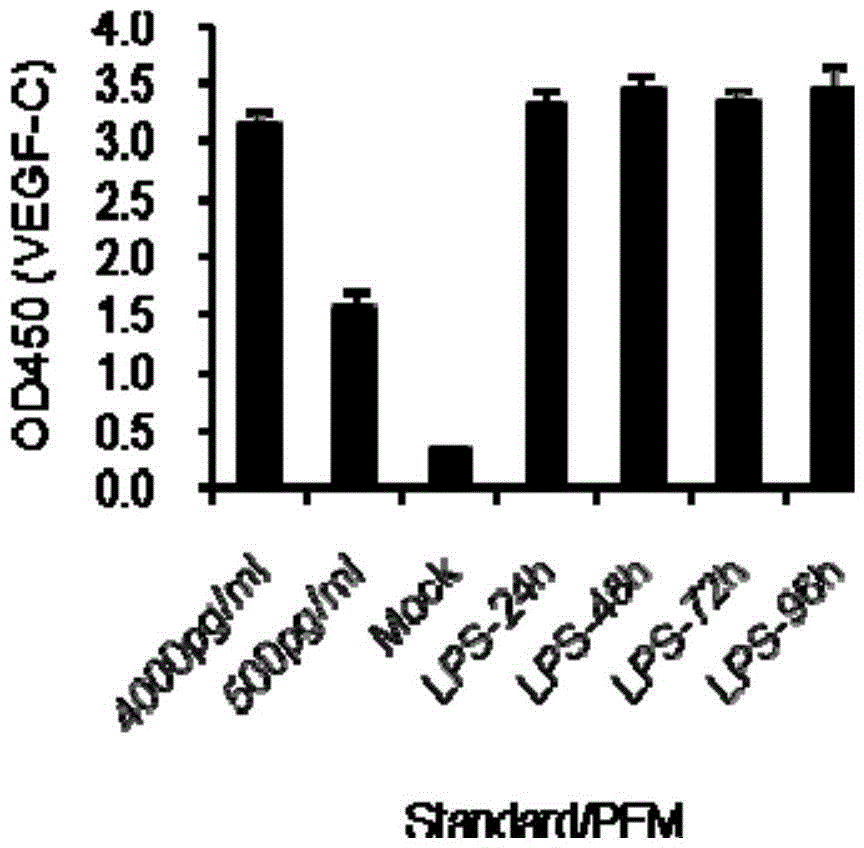 Use of VEGF-C in preparation of sepsis and severe bacterial infection diagnosis reagent