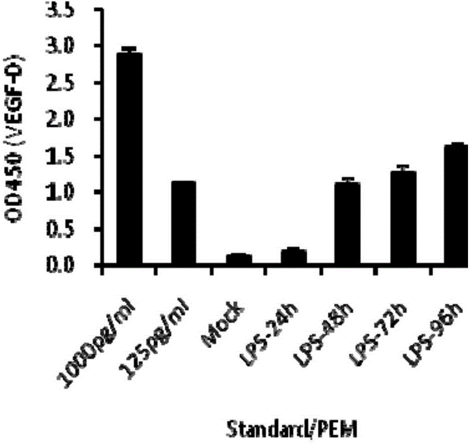 Use of VEGF-C in preparation of sepsis and severe bacterial infection diagnosis reagent