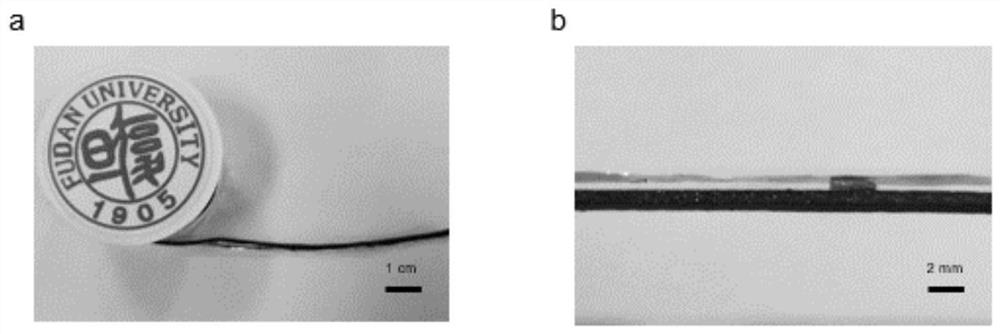 A kind of fiber acoustic transducer and its preparation method and application