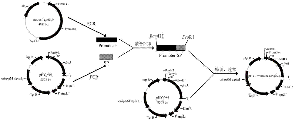 Method for efficiently preparing fructo-oligosaccharide and enzymic preparation thereof