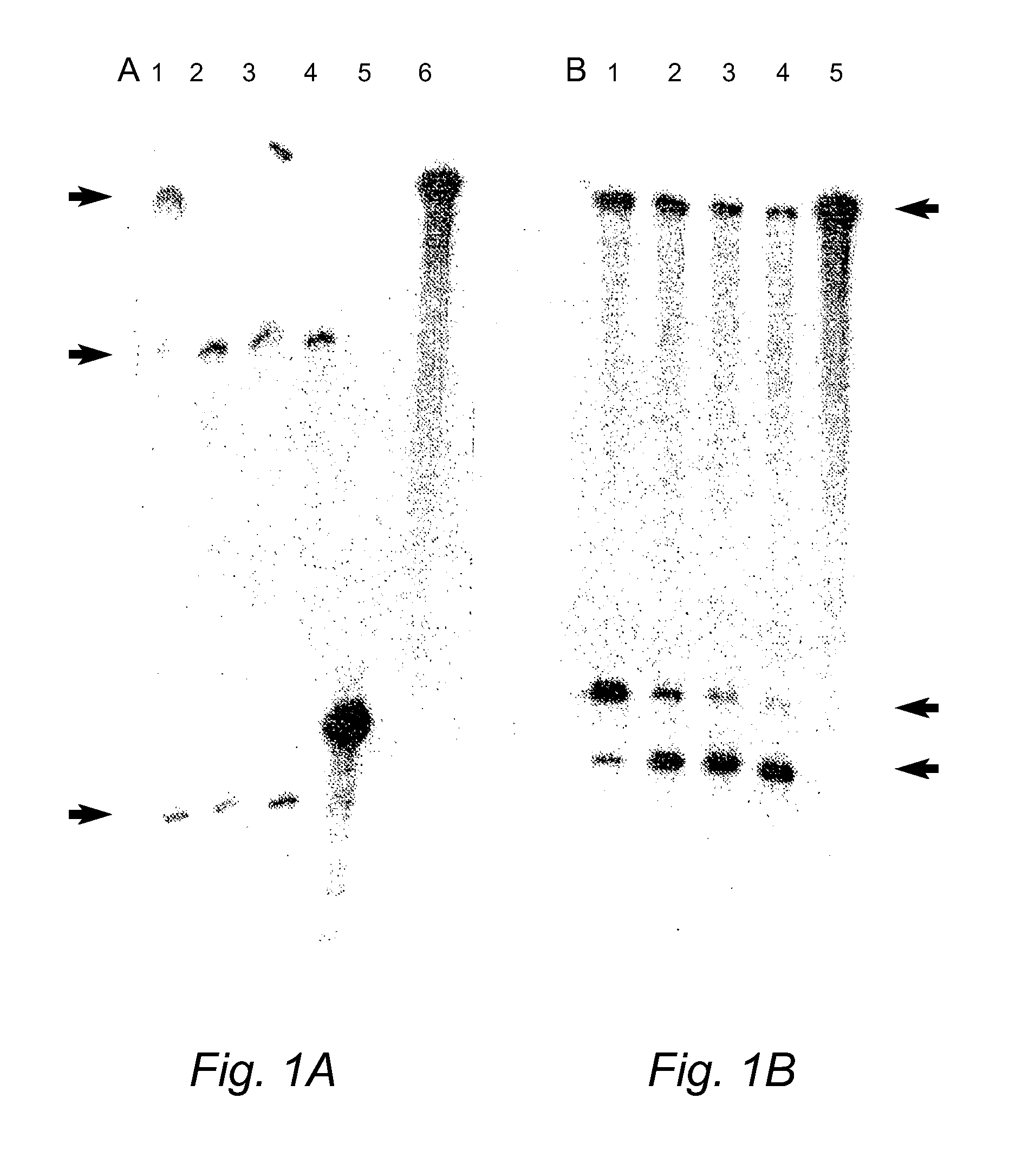 Genetic suppression and replacement