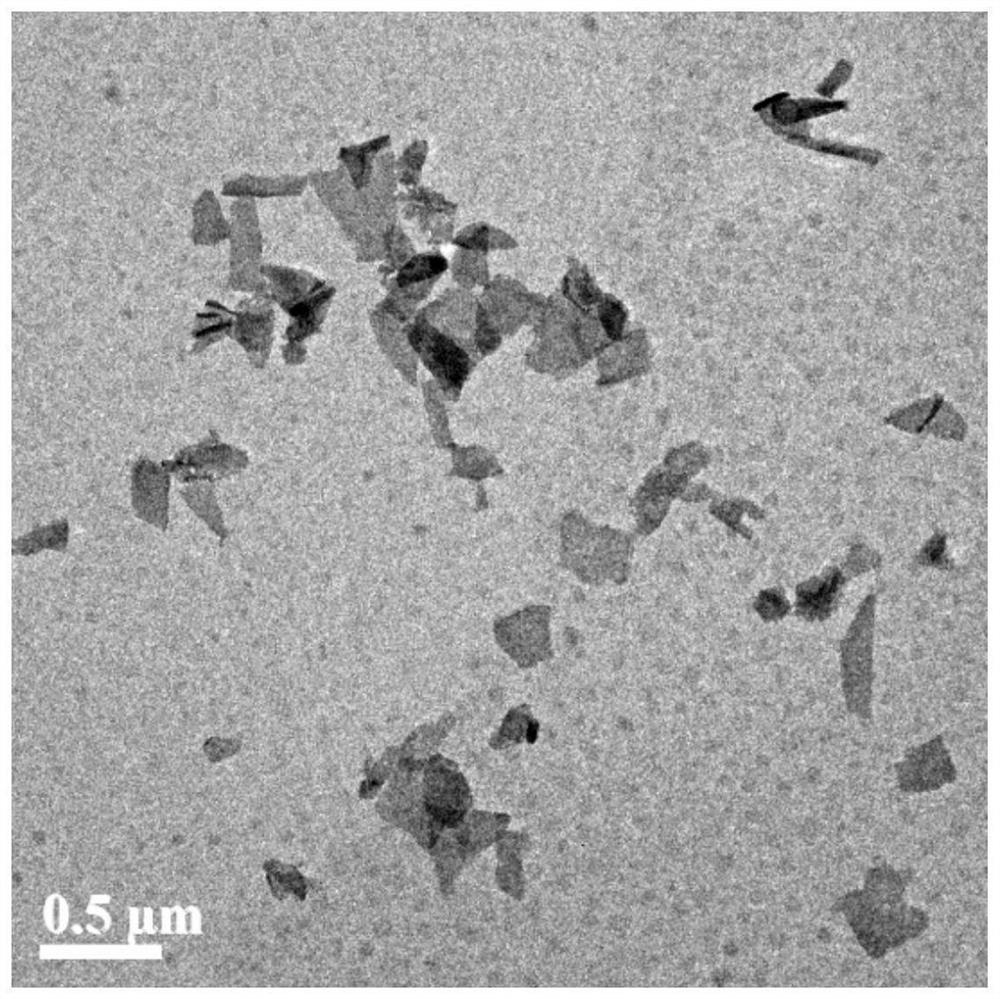 Black phosphorus material as well as preparation method and application thereof