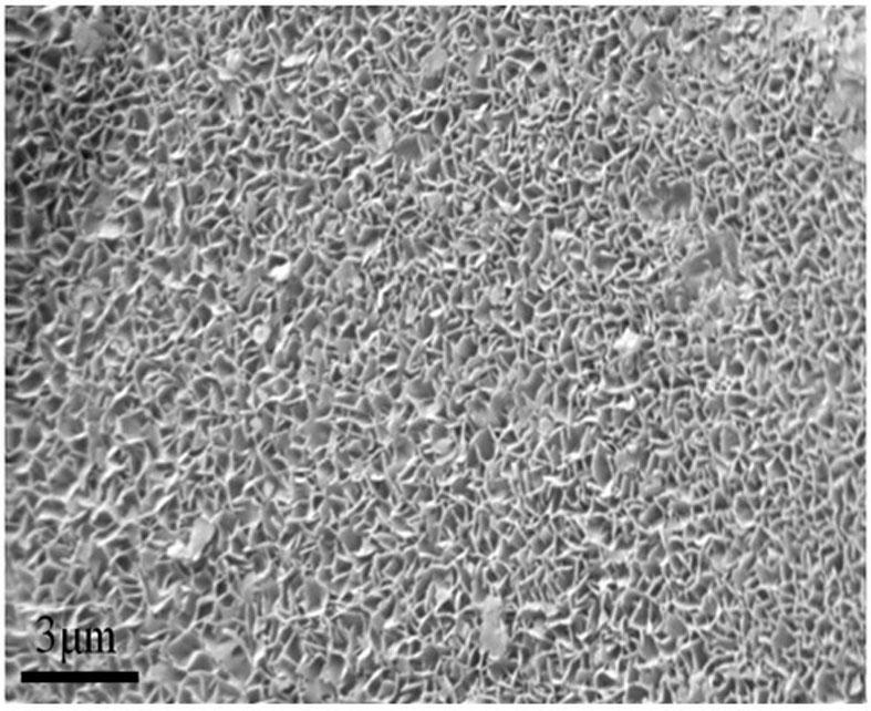 Method for preparing comby stannous oxide nanometer material