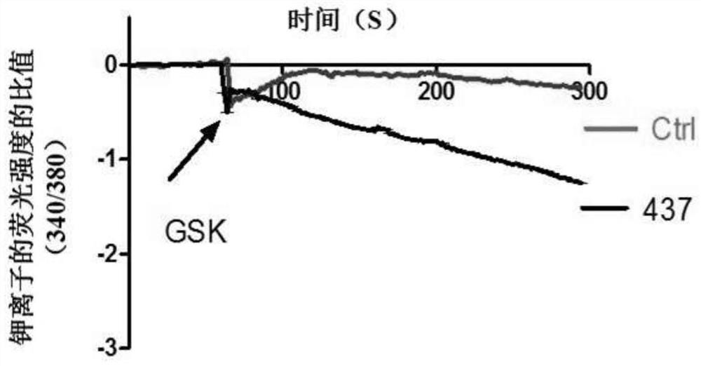 Compound for specifically enhancing spatial coupling degree of TRPV4-KCa2.3 complex and application of compound