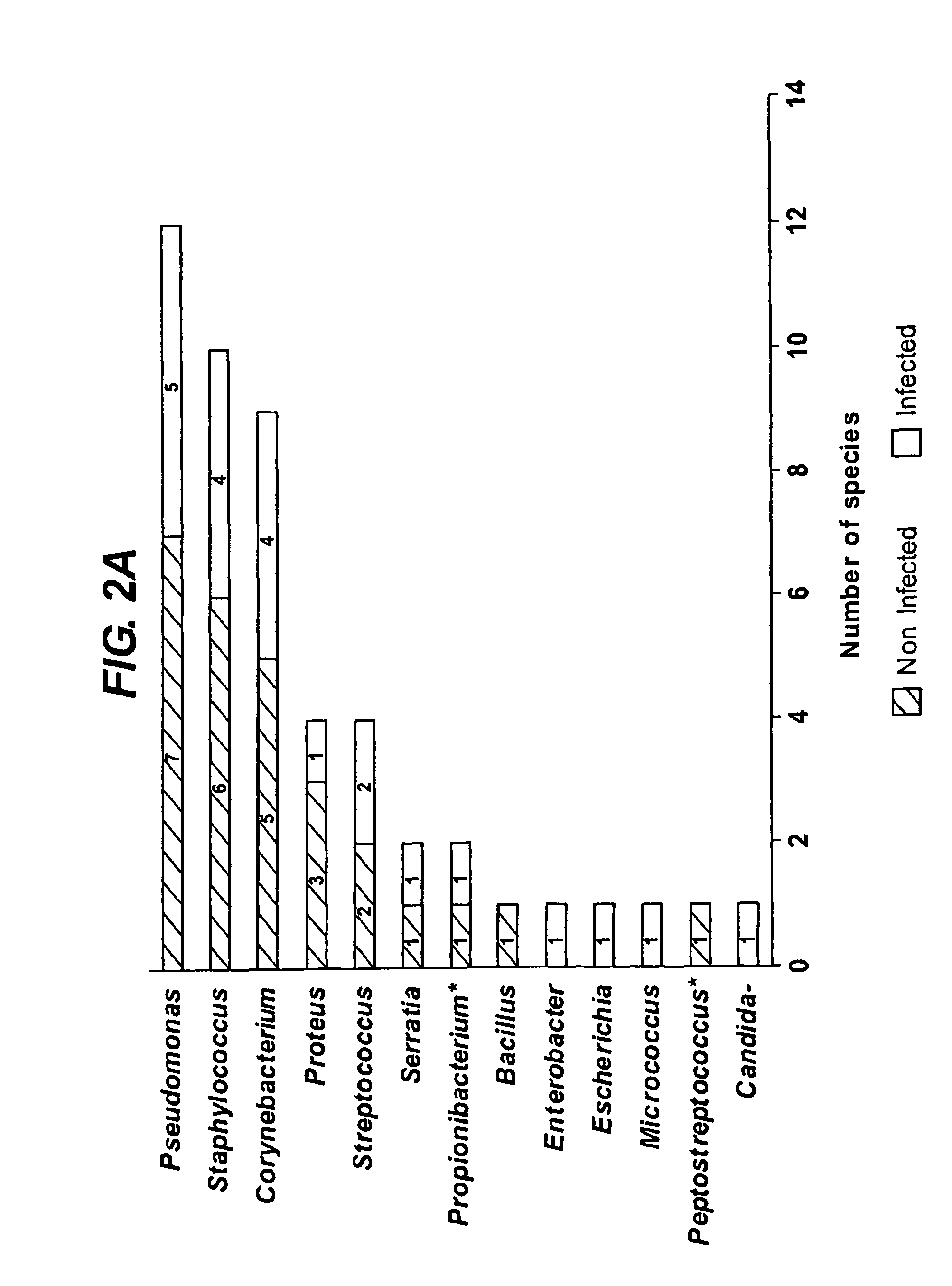 Diagnostic markers of wound infection