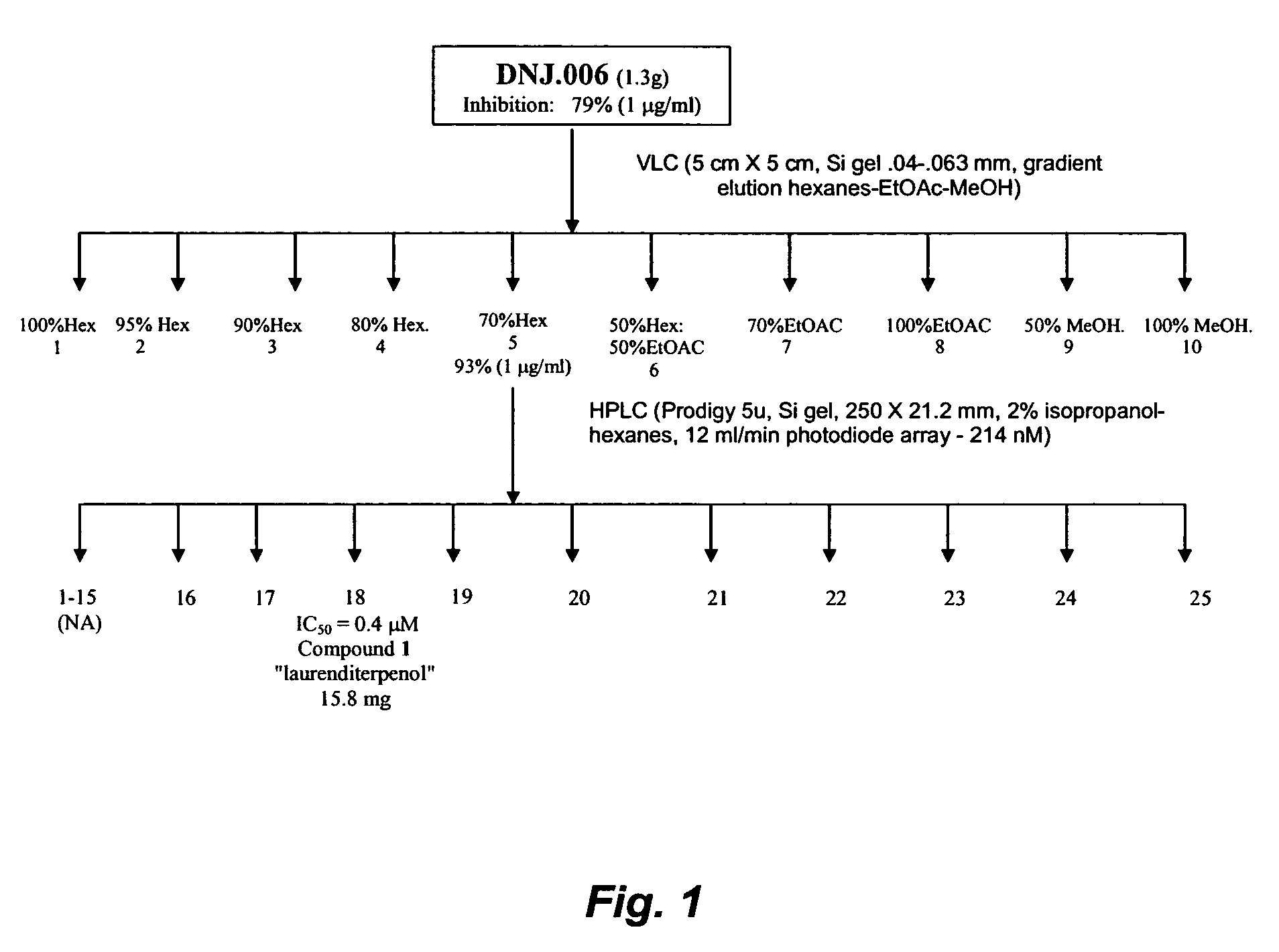 Compounds and methods for inhibiting cellular responses to hypoxia