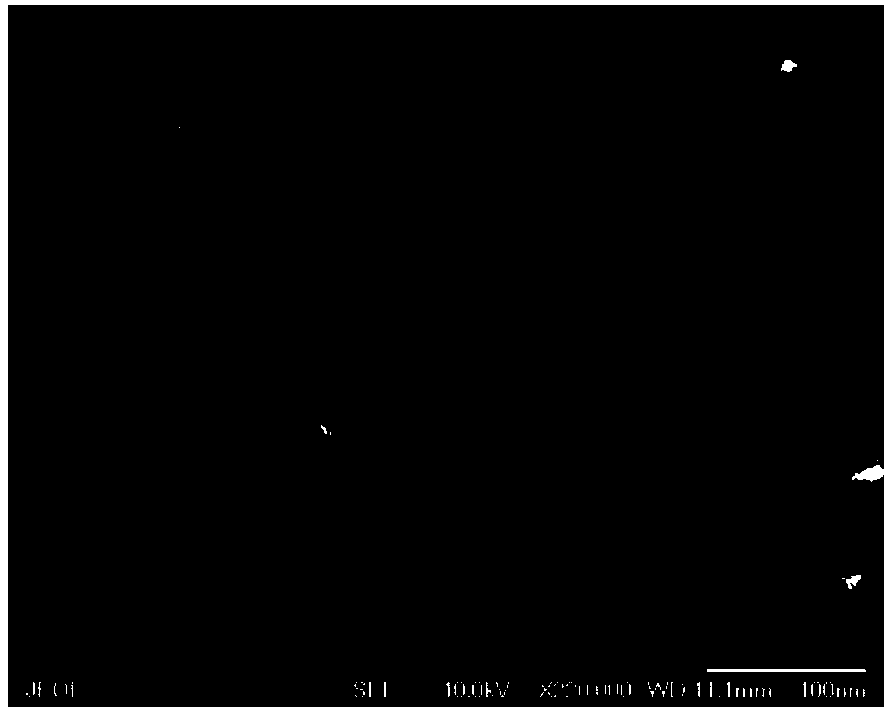 Method for observing magnetic materials by cold field scanning electron microscope