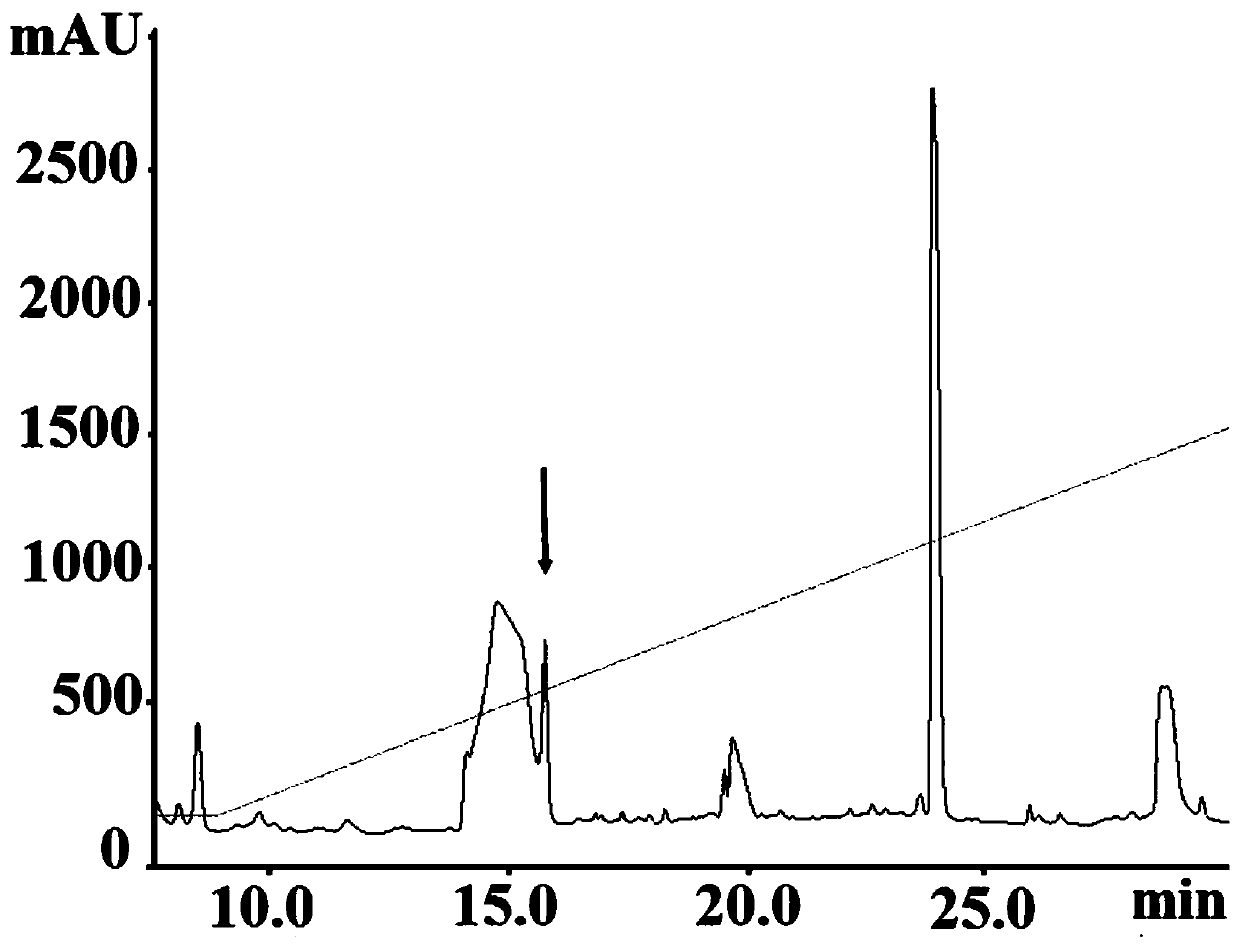 A kind of active peptide and application of promoting the immune effect of h9n2 avian influenza vaccine