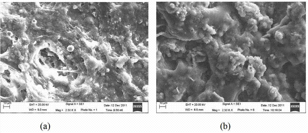 Method for conditioning and dehydrating residual sludge