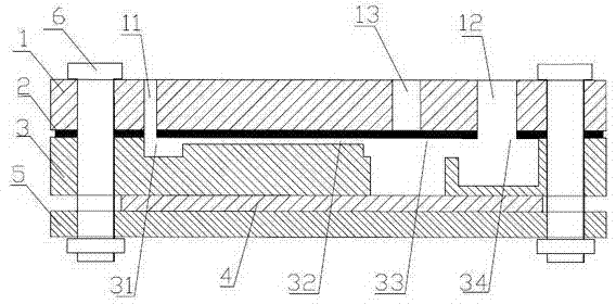 Microfluidic chip for biological chemiluminescence detection and detection method thereof