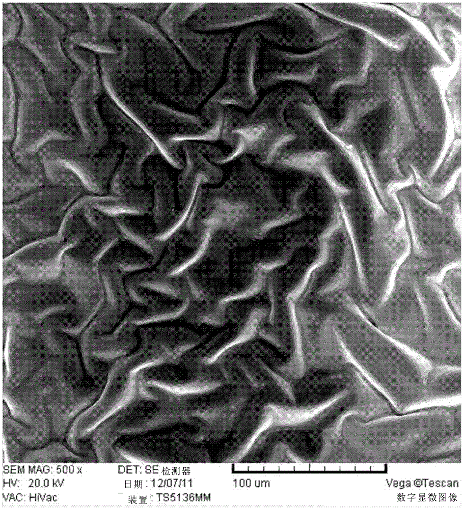 Polyurea resin composition, its preparation method and its application in automotive metallic flash paint