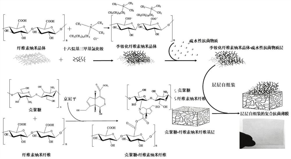 Layer-by-layer self-assembled composite antibacterial film and preparation method thereof