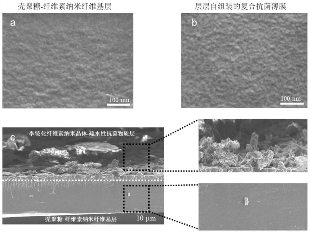 Layer-by-layer self-assembled composite antibacterial film and preparation method thereof