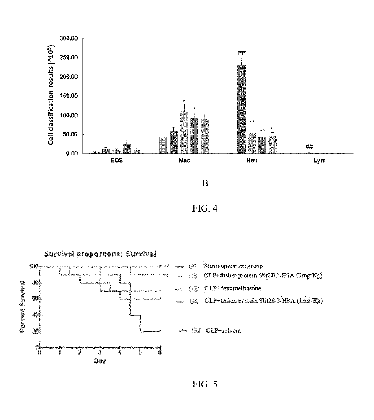 Fusion protein SLIT2D2-HSA and its use in treatment of sepsis