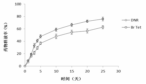 Preparation method for daunorubicin and 5-bromotetrandrine co-carried magnetic ferrosoferric oxide nanoparticles