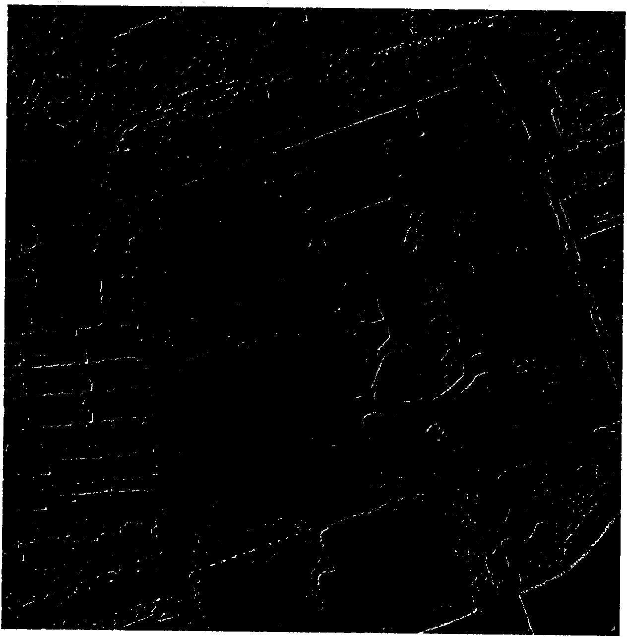 Watershed algorithm-based high spatial resolution multi-spectral remote sensing image segmentation method