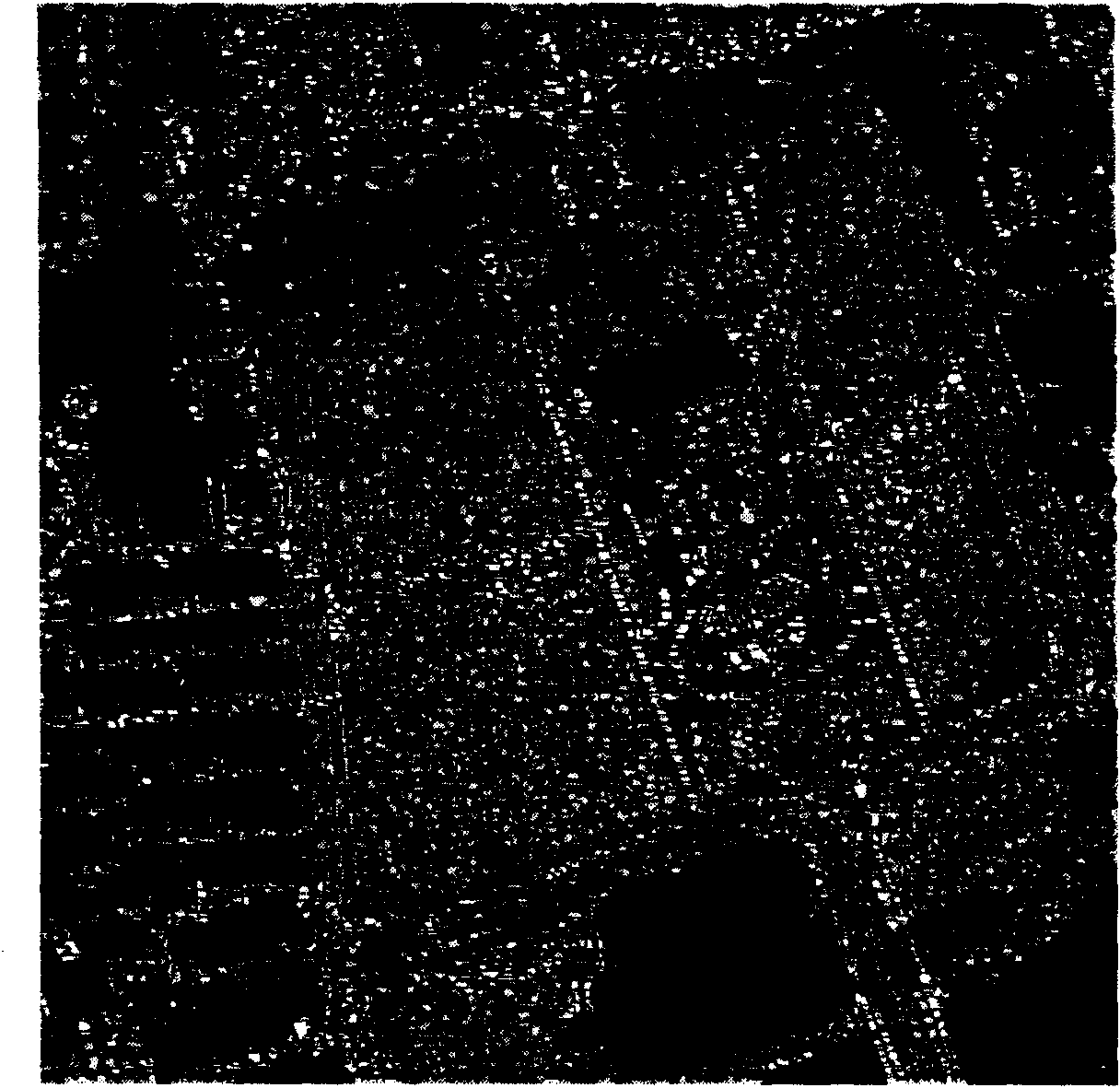 Watershed algorithm-based high spatial resolution multi-spectral remote sensing image segmentation method