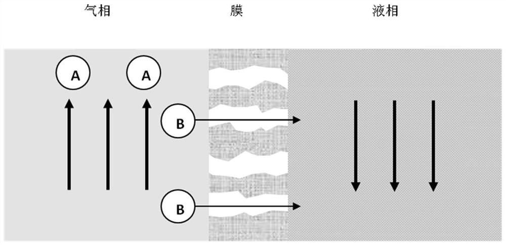 Preparation of a polytetrafluoroethylene hollow fiber membrane, membrane, membrane contactor and application