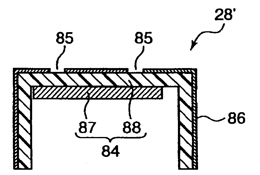 Display member and panel display unit