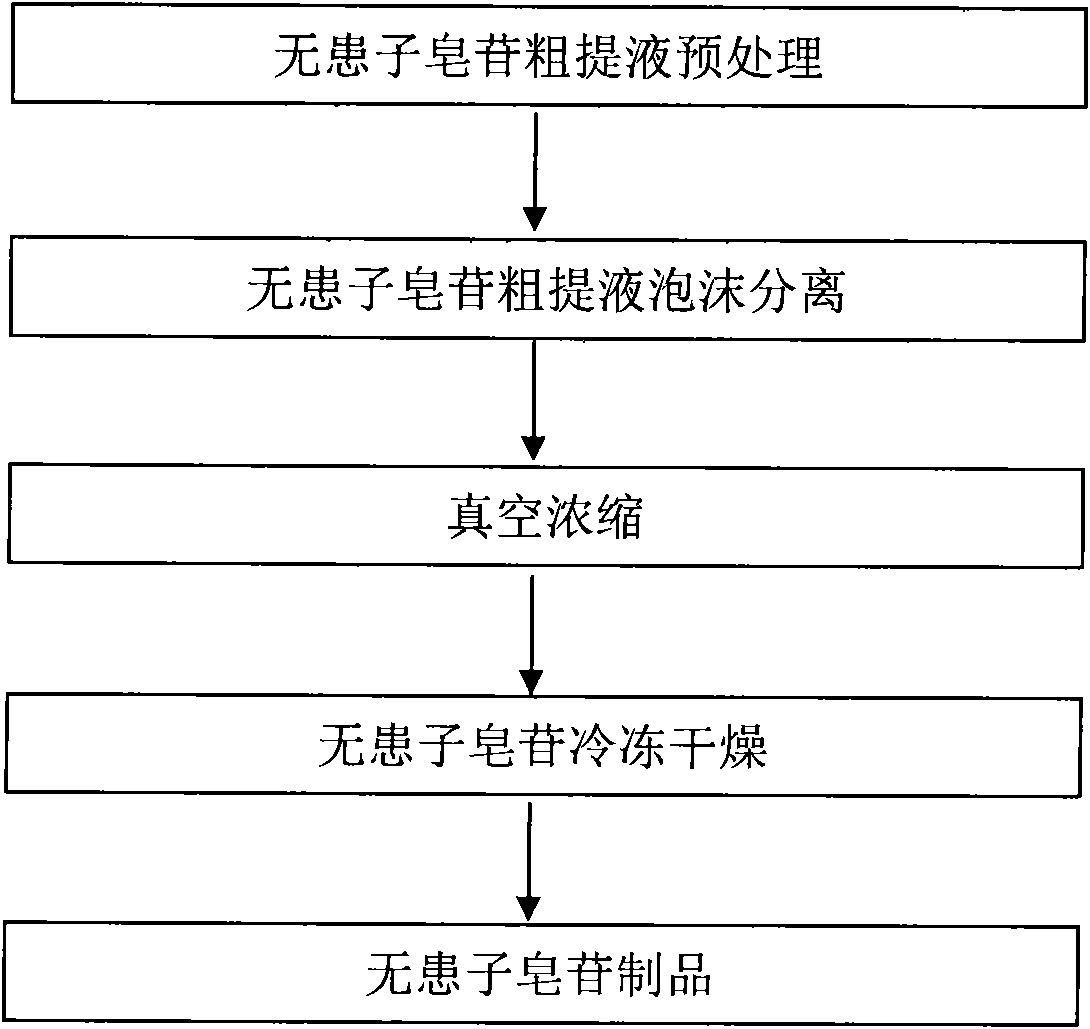 Method of separating soapnut saponin with foam separation method