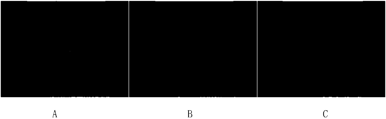 Composite wall breaking treatment method of ganoderma lucidum spore powder