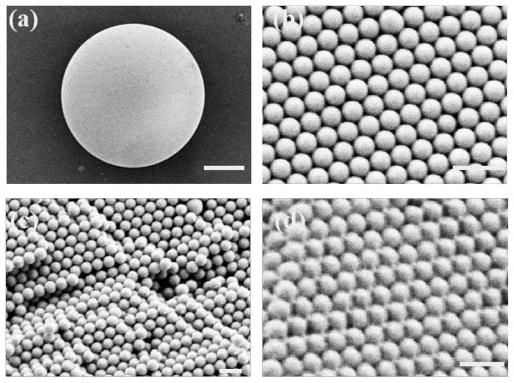 Preparation method and application of activating antibody-modified photonic crystal hydrogel hybrid drug-loaded microspheres