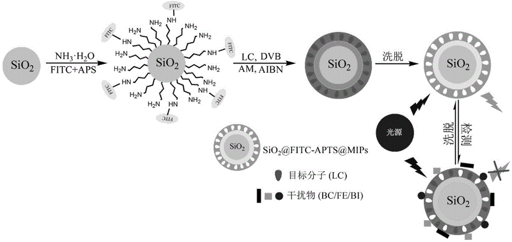 A preparation method of molecularly imprinted material for fluorescent selective recognition of cyhalothrin