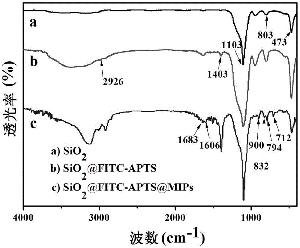 A preparation method of molecularly imprinted material for fluorescent selective recognition of cyhalothrin