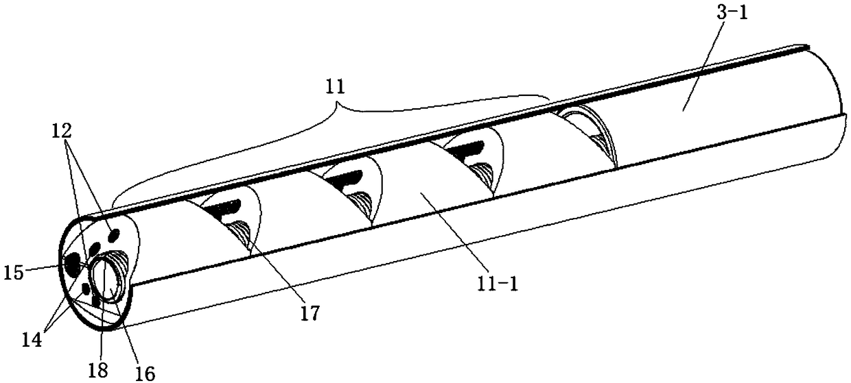 Bidirectional bend-adjusting endoscope