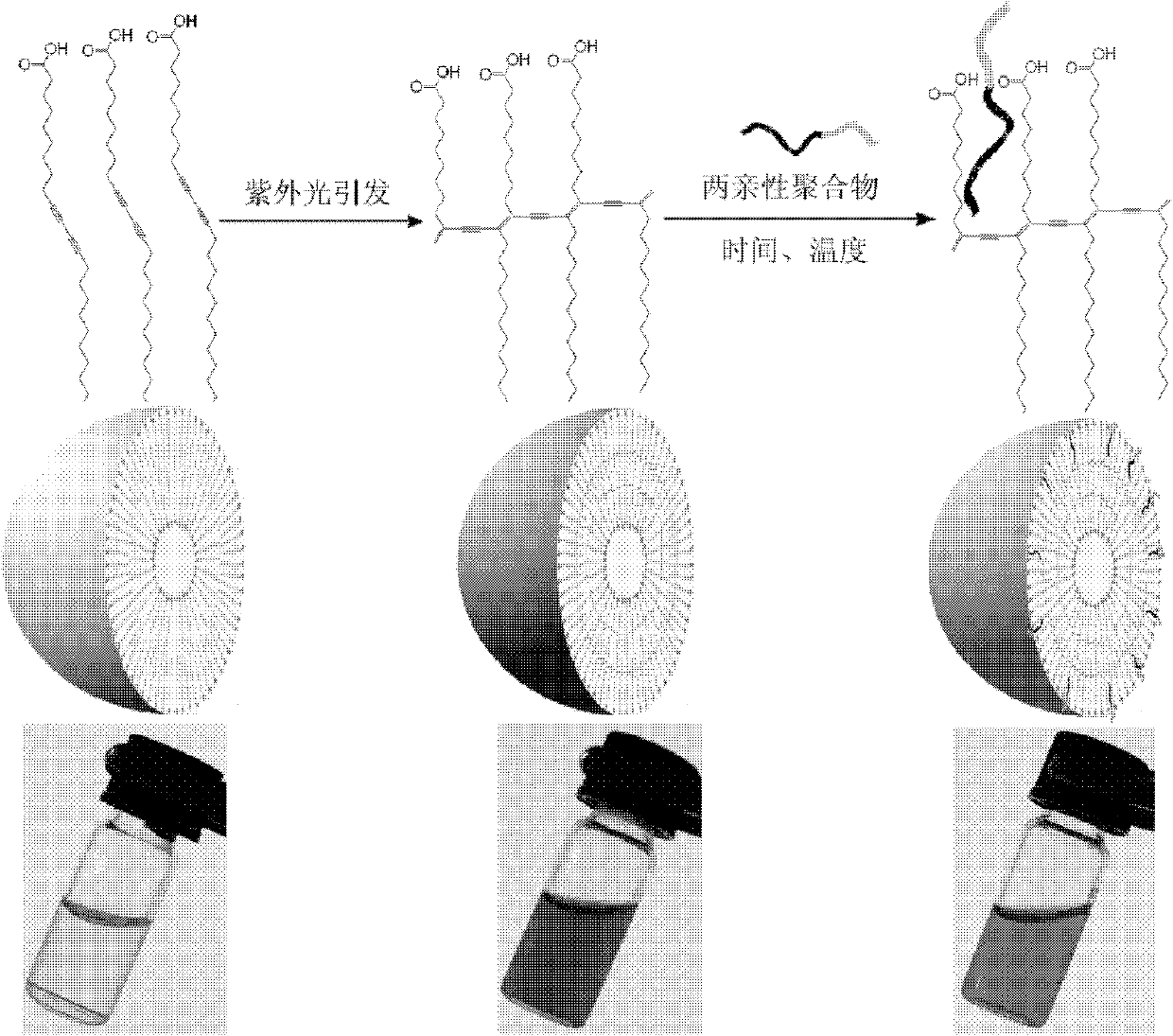 Time-temperature color-changing indicator and application and using method thereof