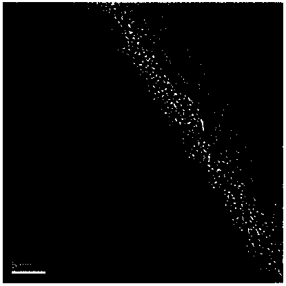 Carbon nanofiber material and preparing method and application of carbon nanofiber material