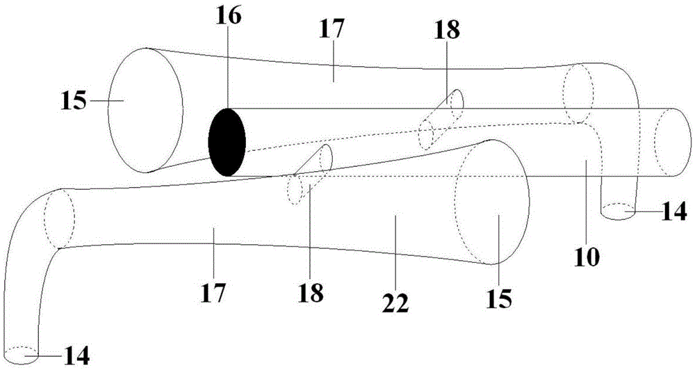 Device and method for breeding plyhachis vicina roger in organic tea garden