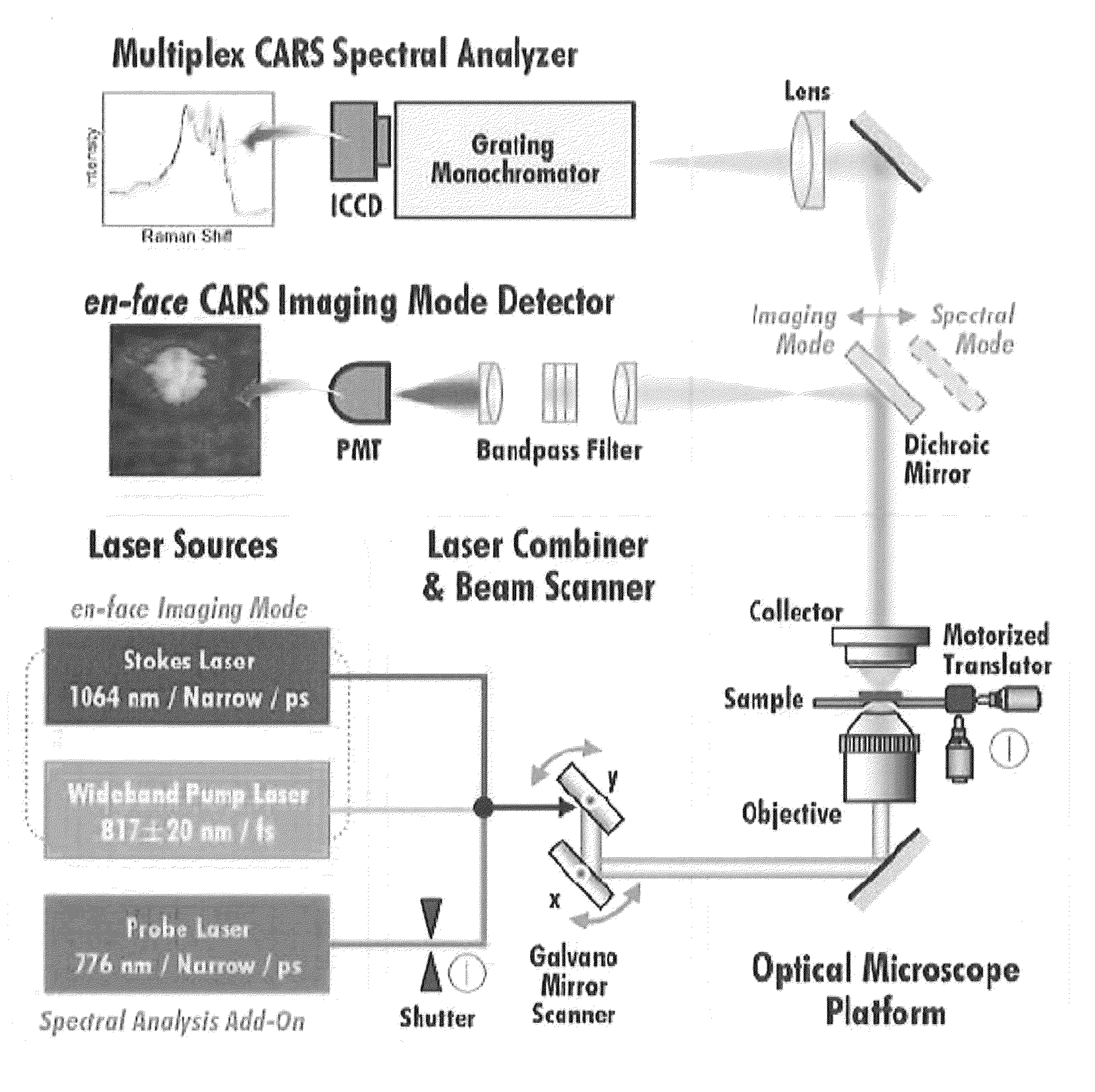 System for diagnosing pathological change of lipid in blood vessels using non-linear optical microscopy