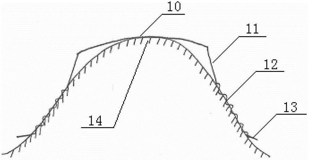 Orthokeratology lens