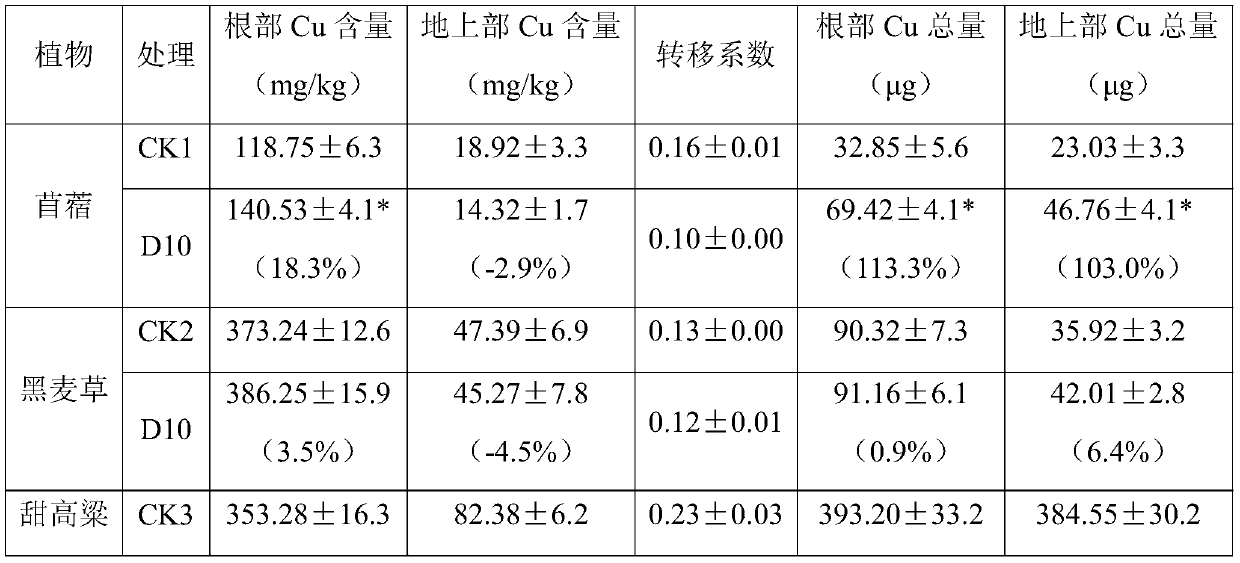 Bacteria d10 for improving the effectiveness of heavy metals and its application