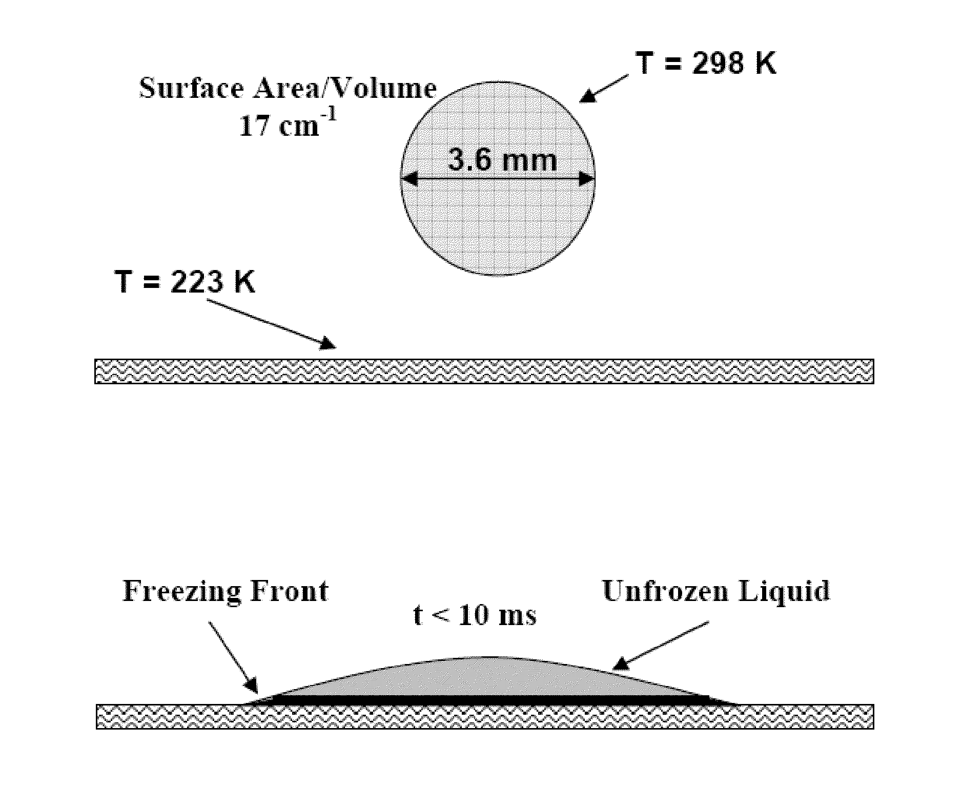 Formation of stable submicron peptide or protein particles by thin film freezing