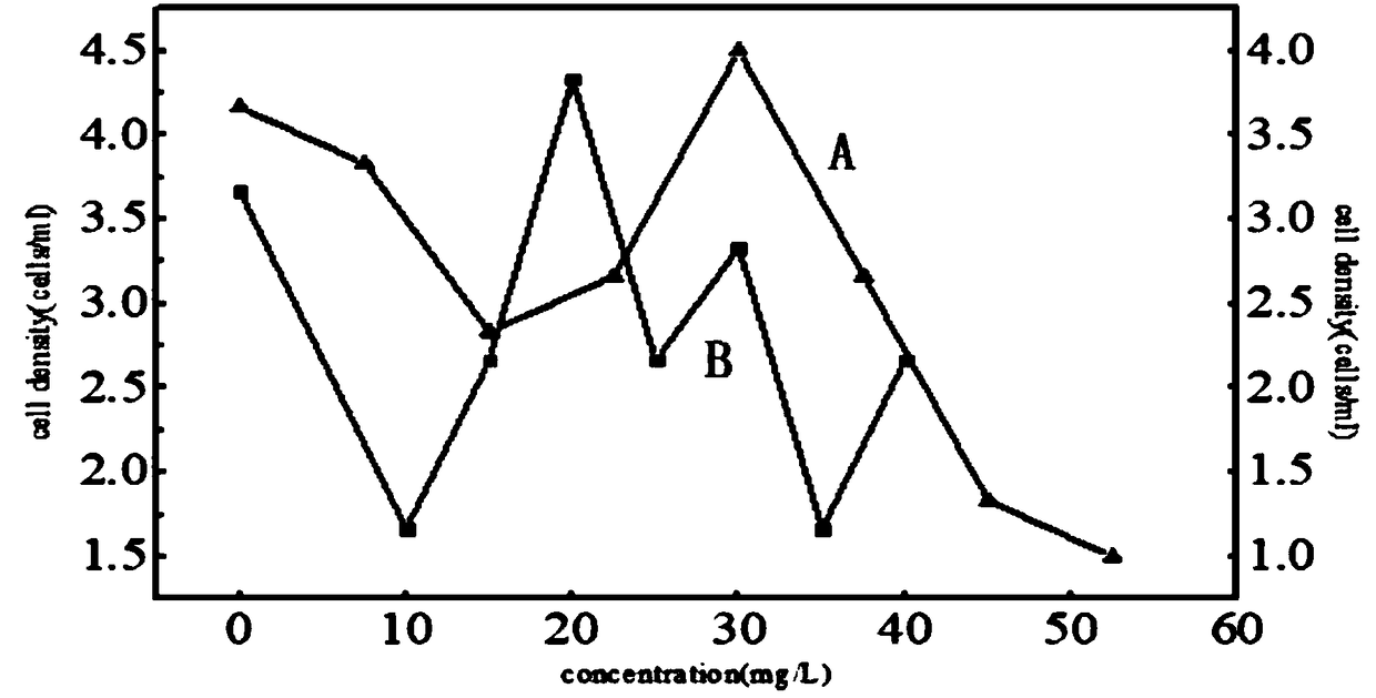 Stylonychia lemnae pure culture system and preparation method and culture method thereof